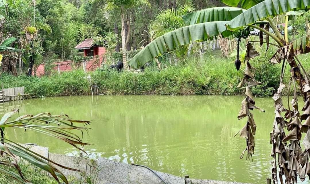 Chacara Recanto Dos Passaros Bairro das Rosas Kültér fotó