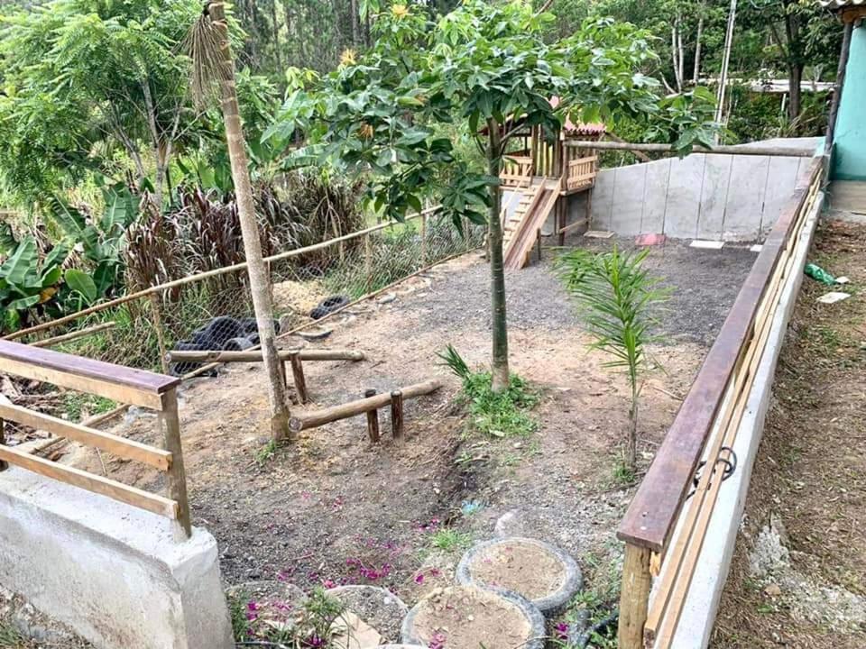 Chacara Recanto Dos Passaros Bairro das Rosas Kültér fotó